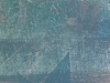 algues